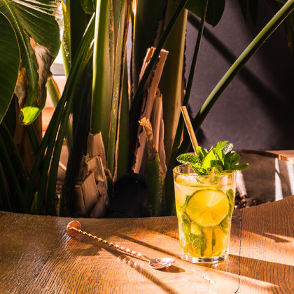 Cocktail Mojito