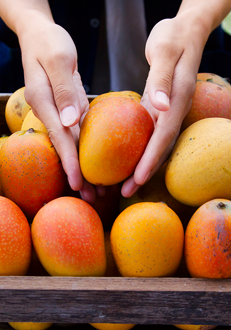 Les fournisseurs doivent remplir les critères de qualité européens à propos des fruits exotiques