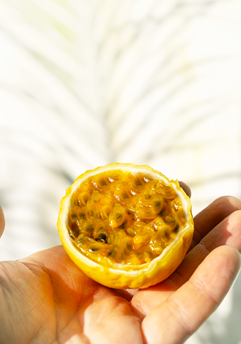 Certains fruits comme le maracujà (ou fruit de la passion) sont très pauvres en eau. Pour faire de bons jus, il faut donc les diluer.